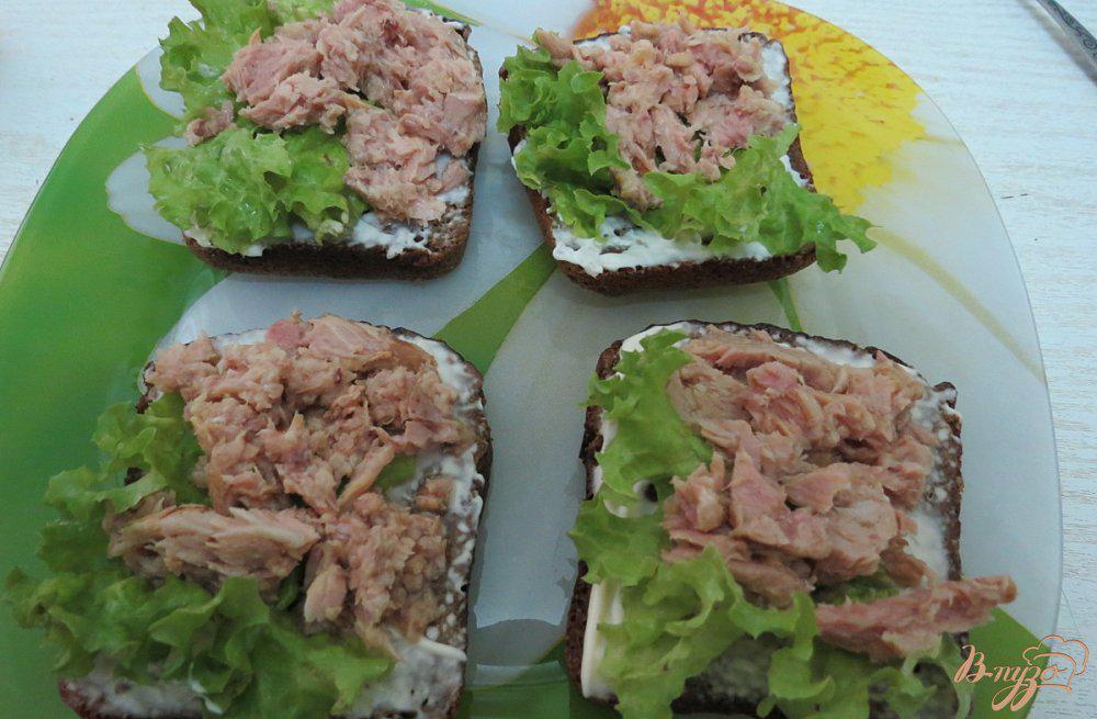 Рецепты Бутербродов С Тунцом Консервированным Правильное Питание