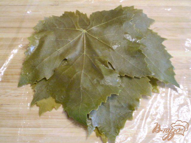 Фото приготовление рецепта: Замороженные виноградные листья шаг №4