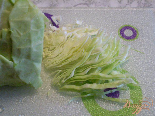 Фото приготовление рецепта: Салат из молодой капусты с укропом и уксусом шаг №2