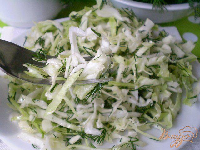 Фото приготовление рецепта: Салат из молодой капусты с укропом и уксусом шаг №6