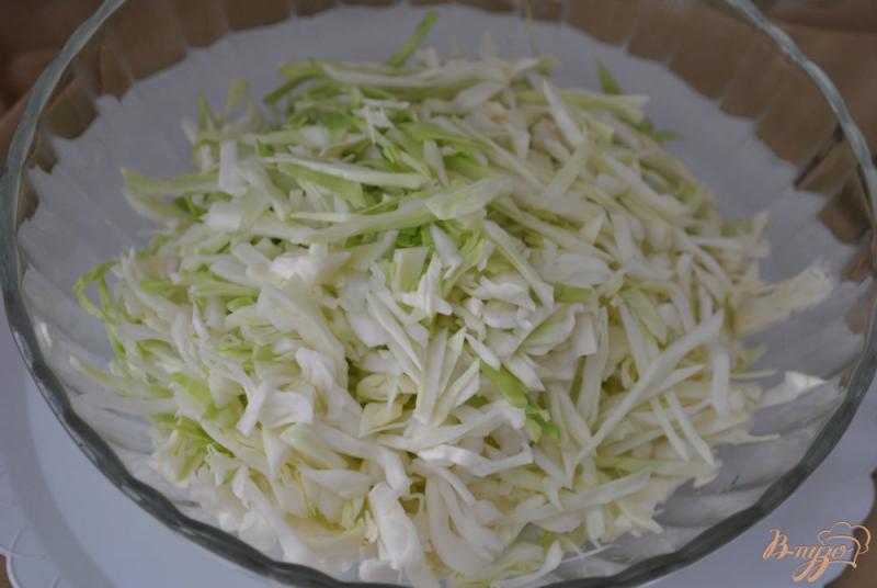 Фото приготовление рецепта: Салат с капустой и яблоком шаг №1