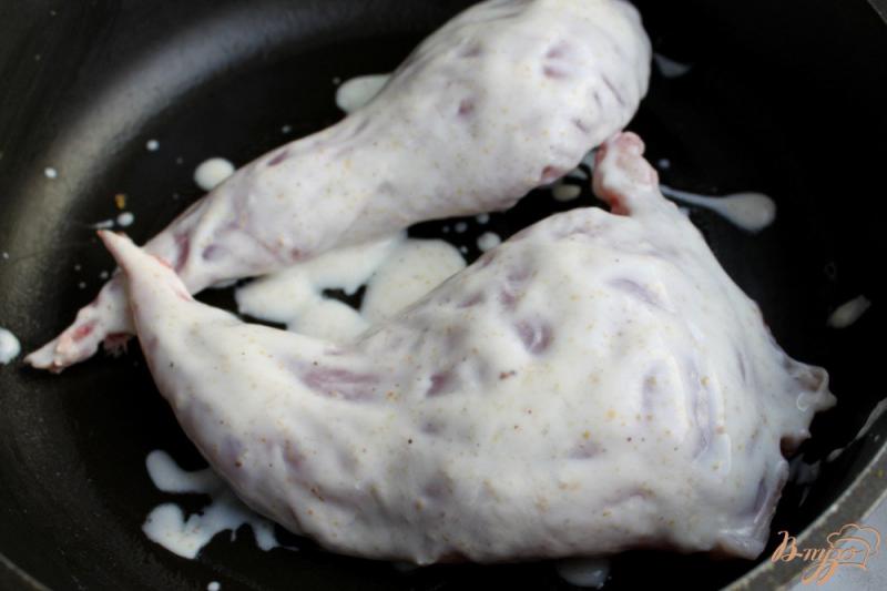 Фото приготовление рецепта: Кролик маринованный в горчичном соусе шаг №2