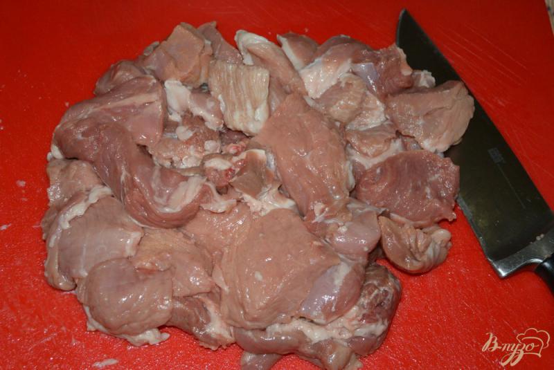 Фото приготовление рецепта: Виндалу из свинины шаг №2