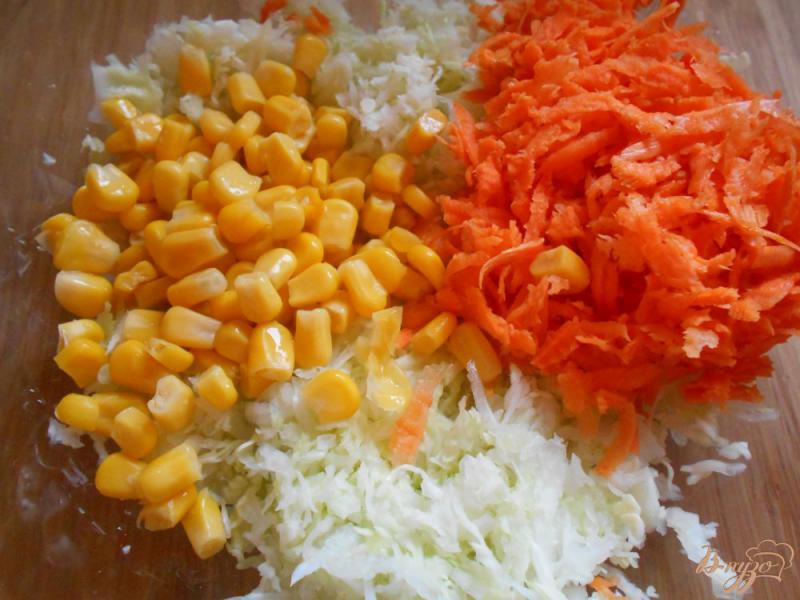Фото приготовление рецепта: Овощной салат с капустой и морковью шаг №2