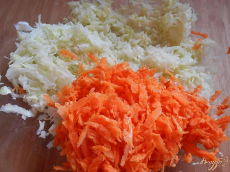 Фото приготовление рецепта: Овощной салат с капустой и морковью шаг №1