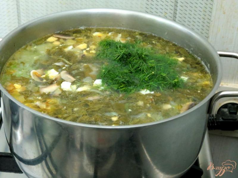 Фото приготовление рецепта: Щавелевый суп с грибами и капустой шаг №6