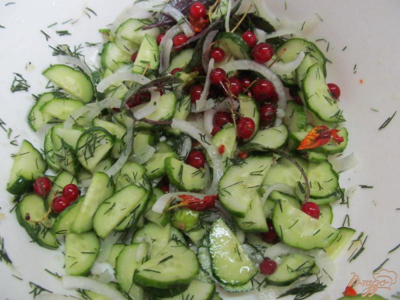 Фото приготовление рецепта: Салат из огурца и красной смородины шаг №5