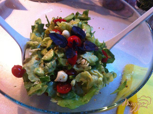 Фото приготовление рецепта: Зеленый салат с помидорами черри и моцареллой шаг №7