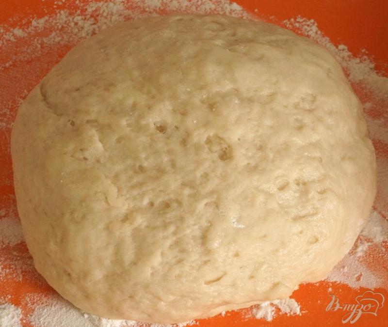 Фото приготовление рецепта: Овощной пирог с тестом на огуречном рассоле шаг №1