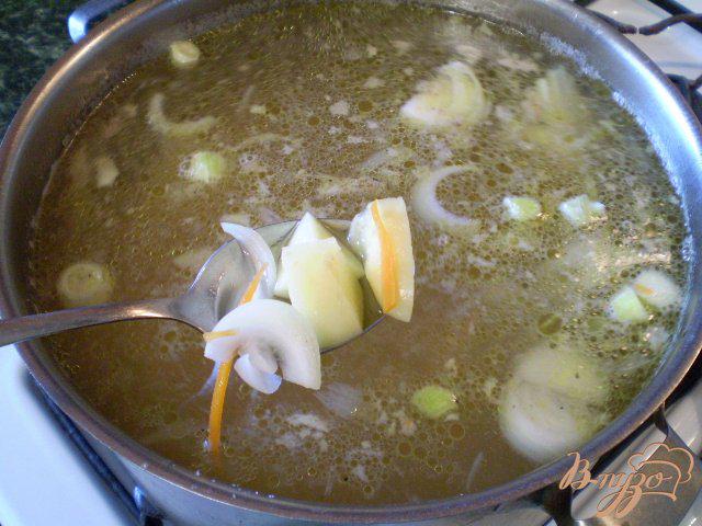 Фото приготовление рецепта: Суп из молодых овощей и домашней лапши шаг №3