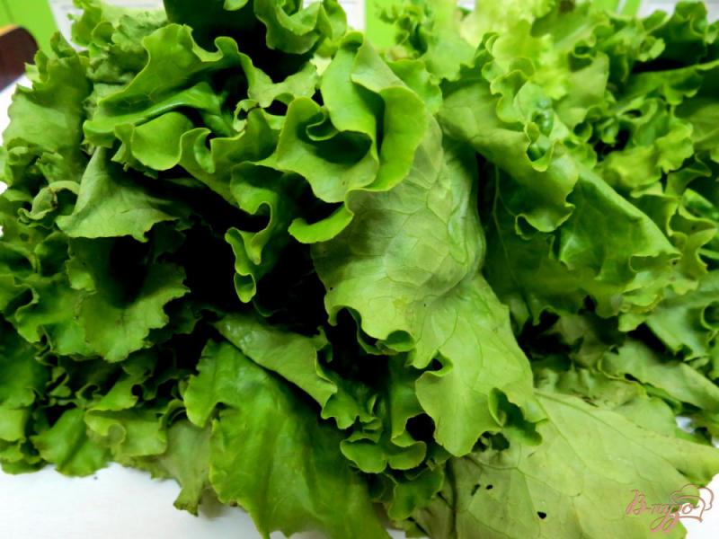 Фото приготовление рецепта: Салат из листьев салата с огурцом и горчичной заправкой шаг №1