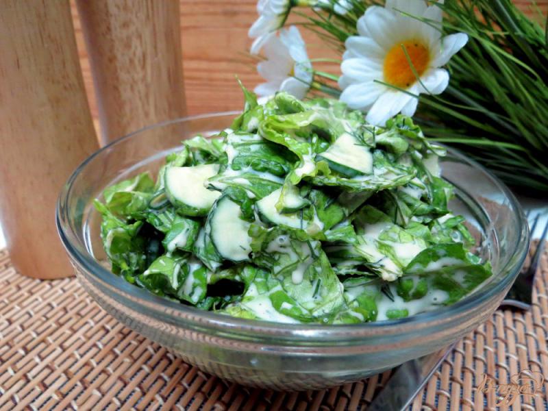 Фото приготовление рецепта: Салат из листьев салата с огурцом и горчичной заправкой шаг №6