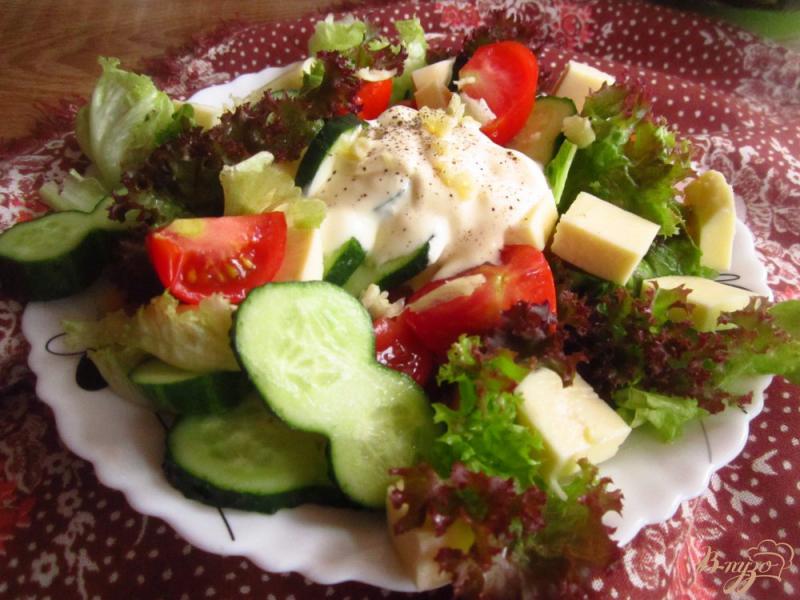 Фото приготовление рецепта: Салат с моцареллой шаг №5