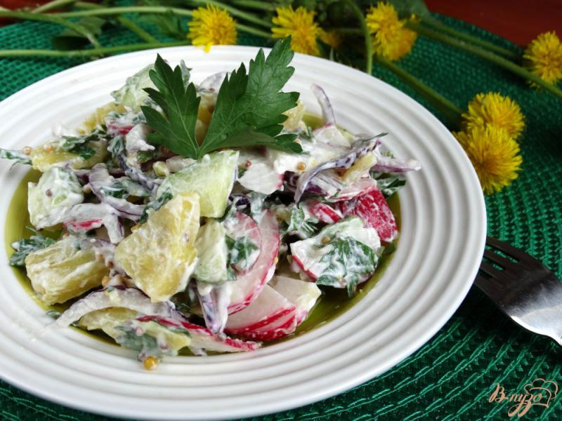 Фото приготовление рецепта: Немецкий картофельный салат с редисом шаг №8