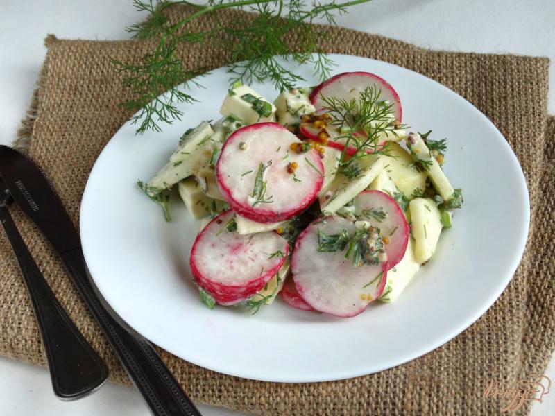 Фото приготовление рецепта: Салат из редиса плавленого сыра и яблока шаг №6
