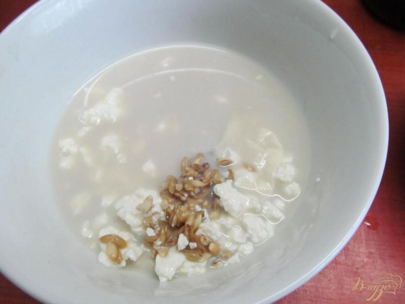 Фото приготовление рецепта: Полезный завтрак из зерна пшеницы с черной смородиной шаг №2