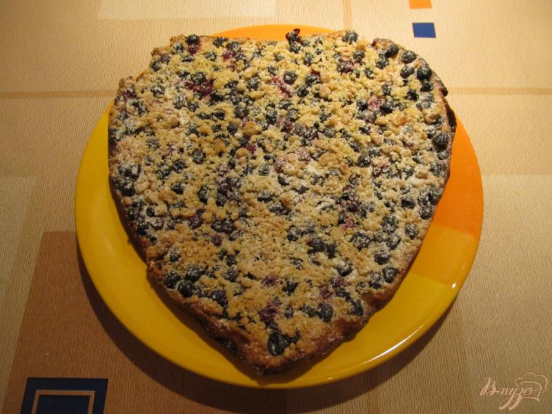 Фото приготовление рецепта: Пирог с черной смородиной и творогом шаг №8
