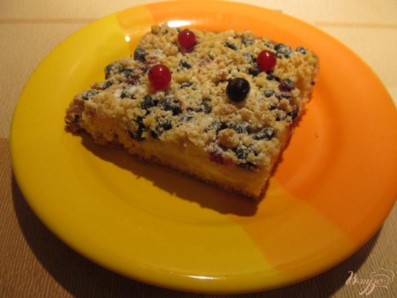 Фото приготовление рецепта: Пирог с черной смородиной и творогом шаг №9