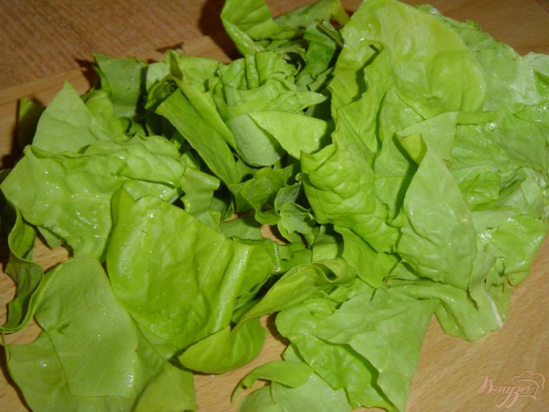 Фото приготовление рецепта: Салат с заправкой горчичной шаг №1