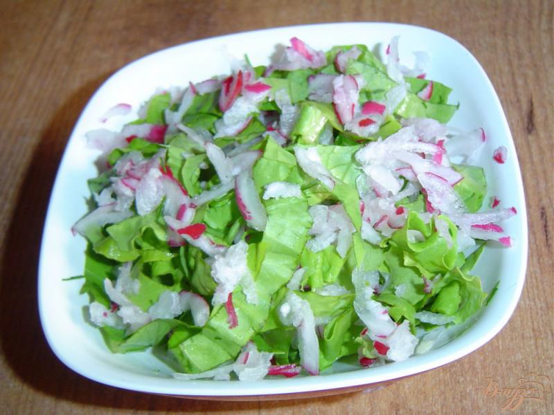 Фото приготовление рецепта: Салат из редиса и салатных листьев шаг №3