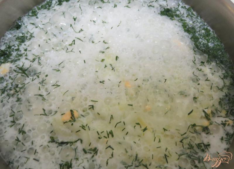 Фото приготовление рецепта: Холодный суп на кефире и минералке шаг №8