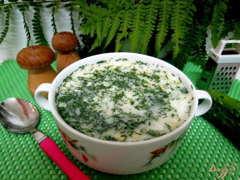 Фото приготовление рецепта: Холодный суп на кефире и минералке шаг №9