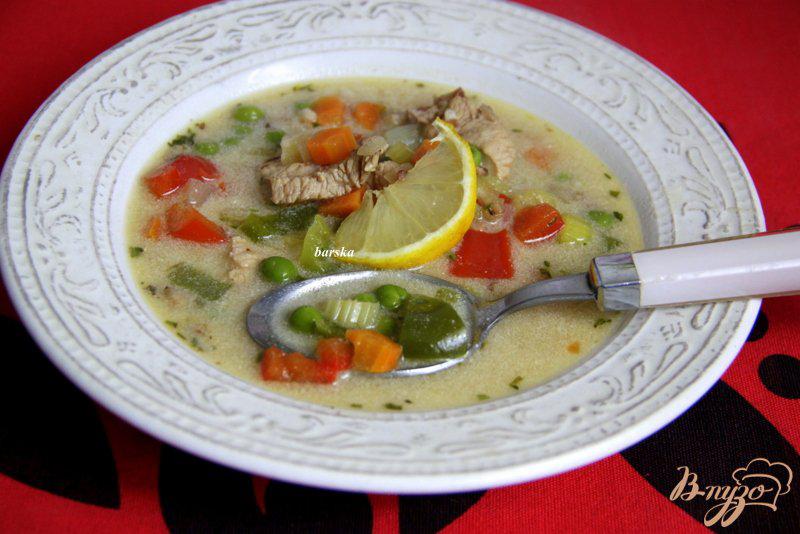 Фото приготовление рецепта: Венгерский куриный суп  с овощами шаг №7