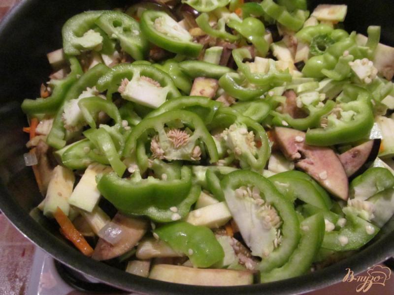 Фото приготовление рецепта: Овощное рагу с майонезом шаг №4