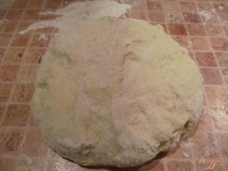 Фото приготовление рецепта: Пицца на дрожжевом тесте шаг №2