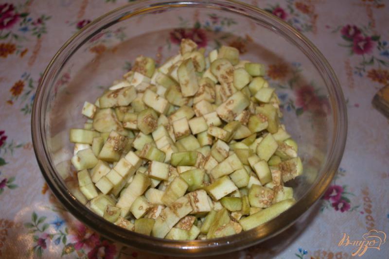 Фото приготовление рецепта: Овощной гарнир из баклажана и помидор шаг №1