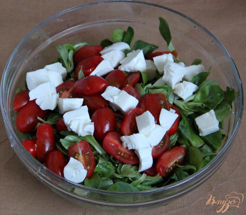 Фото приготовление рецепта: Полевой салат  с томатами и моцареллой шаг №2