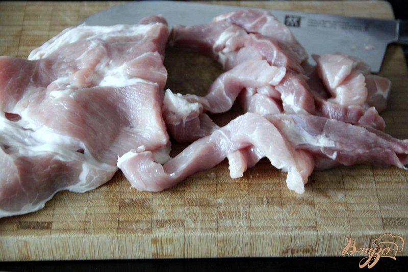 Фото приготовление рецепта: Сковорода со свиными шницелями,  по-мексикански шаг №1