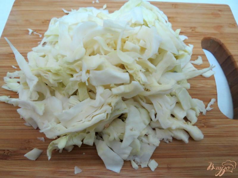 Фото приготовление рецепта: Щи со свежей капусты шаг №6