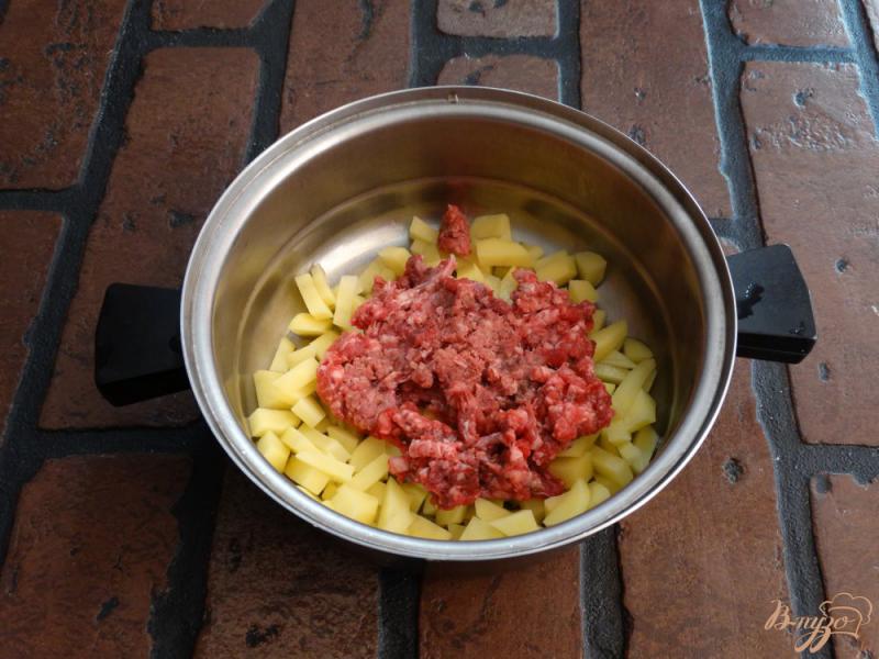 Фото приготовление рецепта: Густой овощной суп с говяжьим фаршем шаг №2