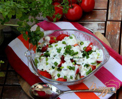 Фото приготовление рецепта: Салат из летних овощей с пикантной творожно-йогуртовой заправкой шаг №6