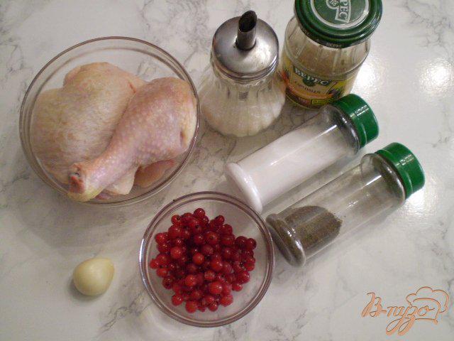 Фото приготовление рецепта: Курица с горчицей, чесноком и смородиной шаг №1