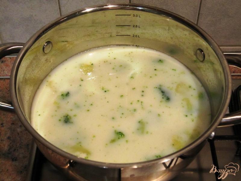 Фото приготовление рецепта: Овощной суп-пюре с тилапией шаг №8