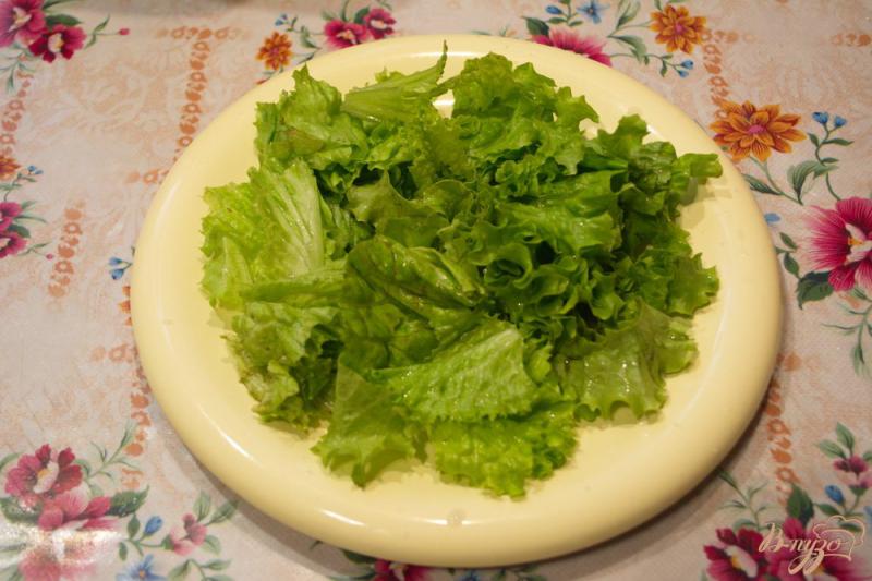 Фото приготовление рецепта: Салат для легкого ужина шаг №1