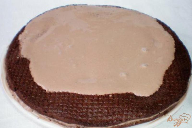 Фото приготовление рецепта: Торт на заварном шоколаде с грецкими орехами и сметанным кремом шаг №8