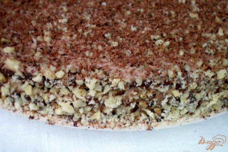 Фото приготовление рецепта: Торт на заварном шоколаде с грецкими орехами и сметанным кремом шаг №10