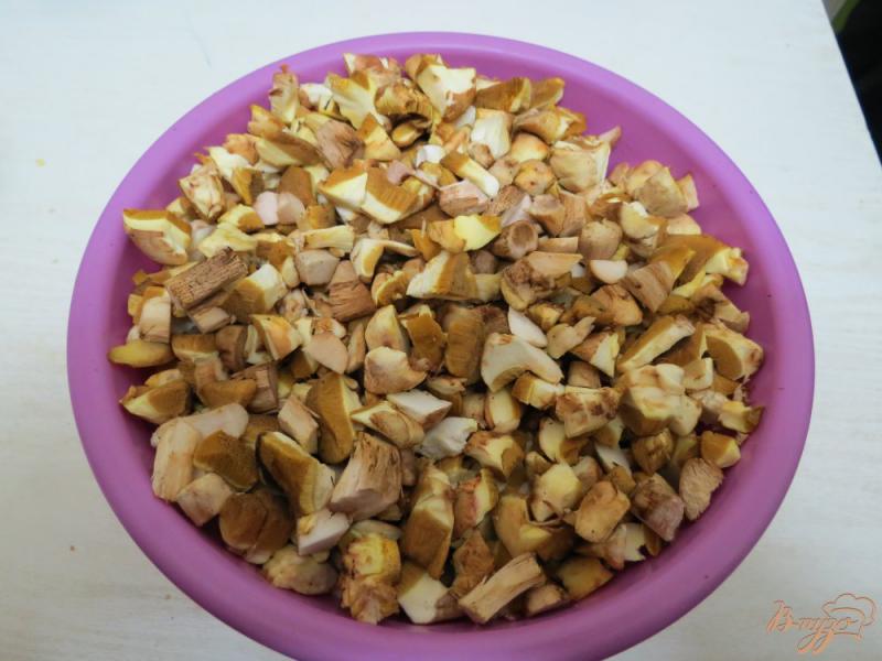Фото приготовление рецепта: Баклажаны с маслятами в сметанном соусе шаг №1