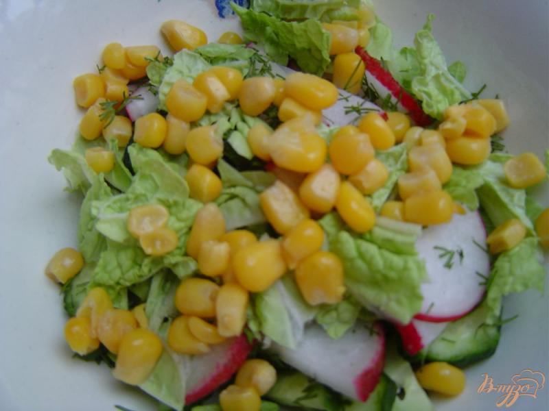 Фото приготовление рецепта: Салат из редиса, огурцов и кукурузы шаг №4