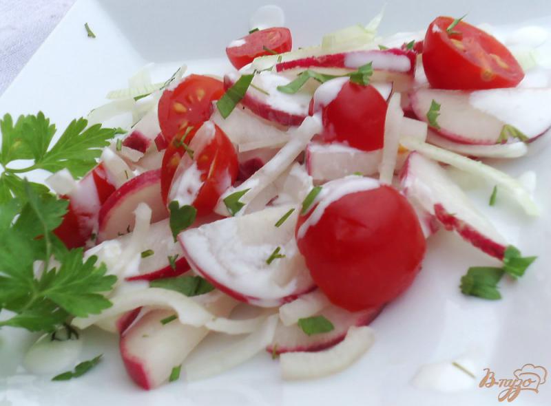 Фото приготовление рецепта: Салат из помидоров, редиса и лука шаг №4