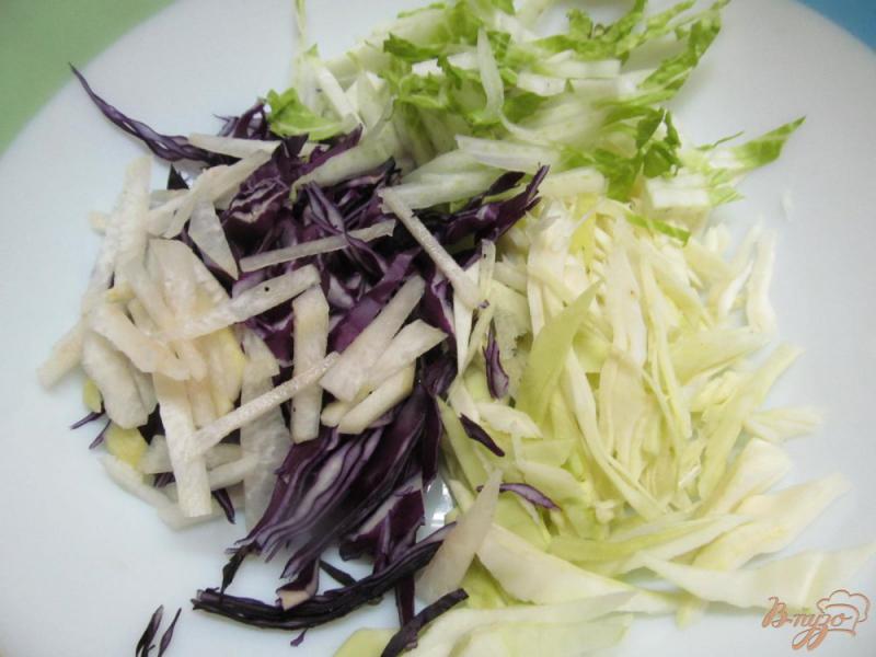 Фото приготовление рецепта: Капустный салат с редькой шаг №2