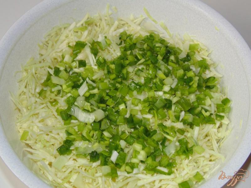 Фото приготовление рецепта: Острый салат из белокочанной капусты без соли шаг №3