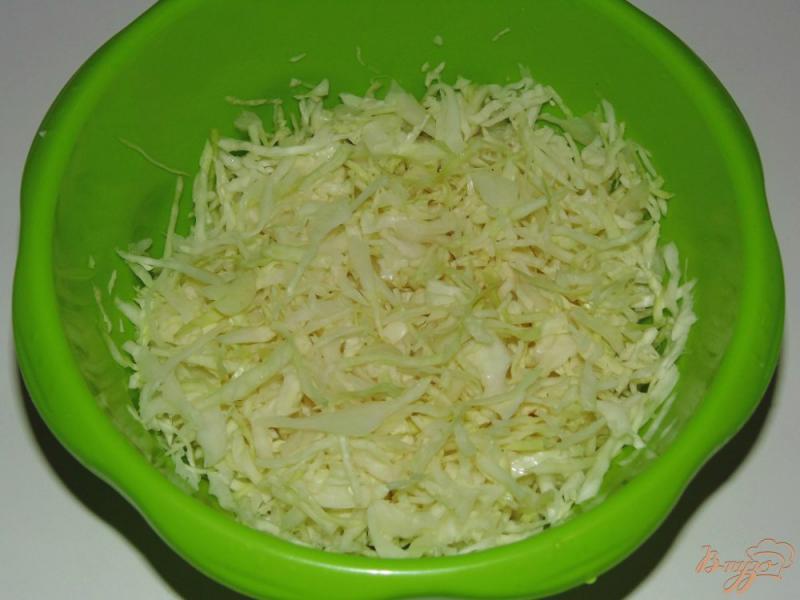 Фото приготовление рецепта: Салат из белокочанной капусты с морковью по-корейски шаг №1