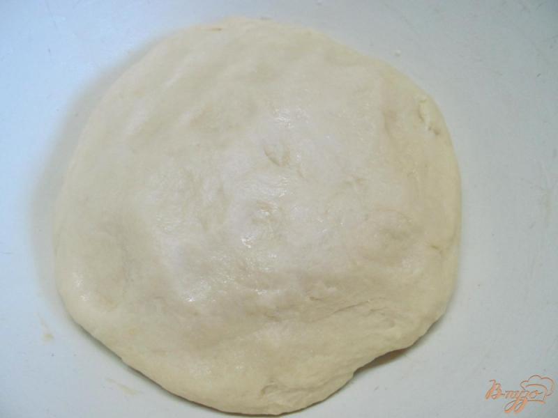 Фото приготовление рецепта: Сицилийский сладкий хлеб шаг №2