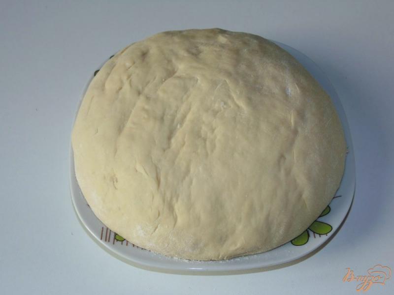 Фото приготовление рецепта: Опарное дрожжевое тесто на молоке шаг №6