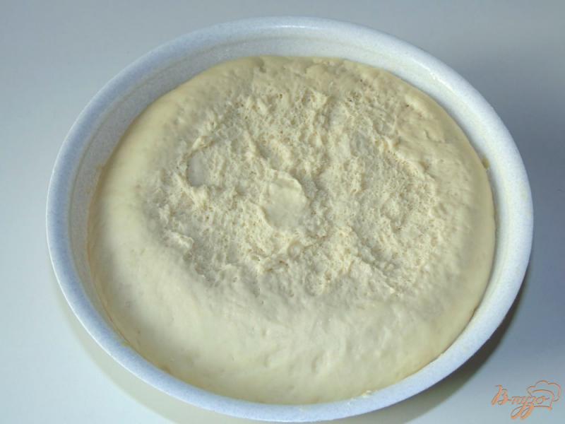Фото приготовление рецепта: Опарное дрожжевое тесто на молоке шаг №5