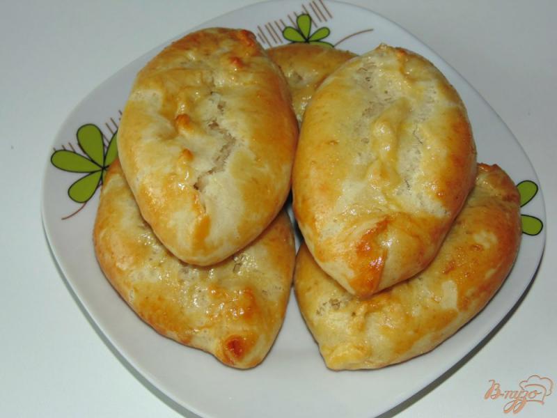 Фото приготовление рецепта: Духовые пирожки с начинкой из индюшиного мяса шаг №9